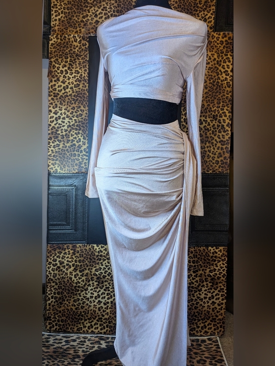 Dresses & Skirts - Long Sleeve Crop And Ruched Maxi Skirt in Blush Pink XS New